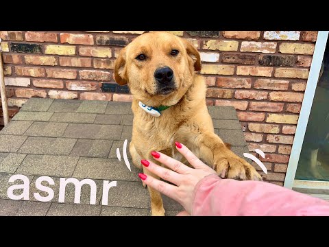 ASMR Outdoors on Acreage 🌾