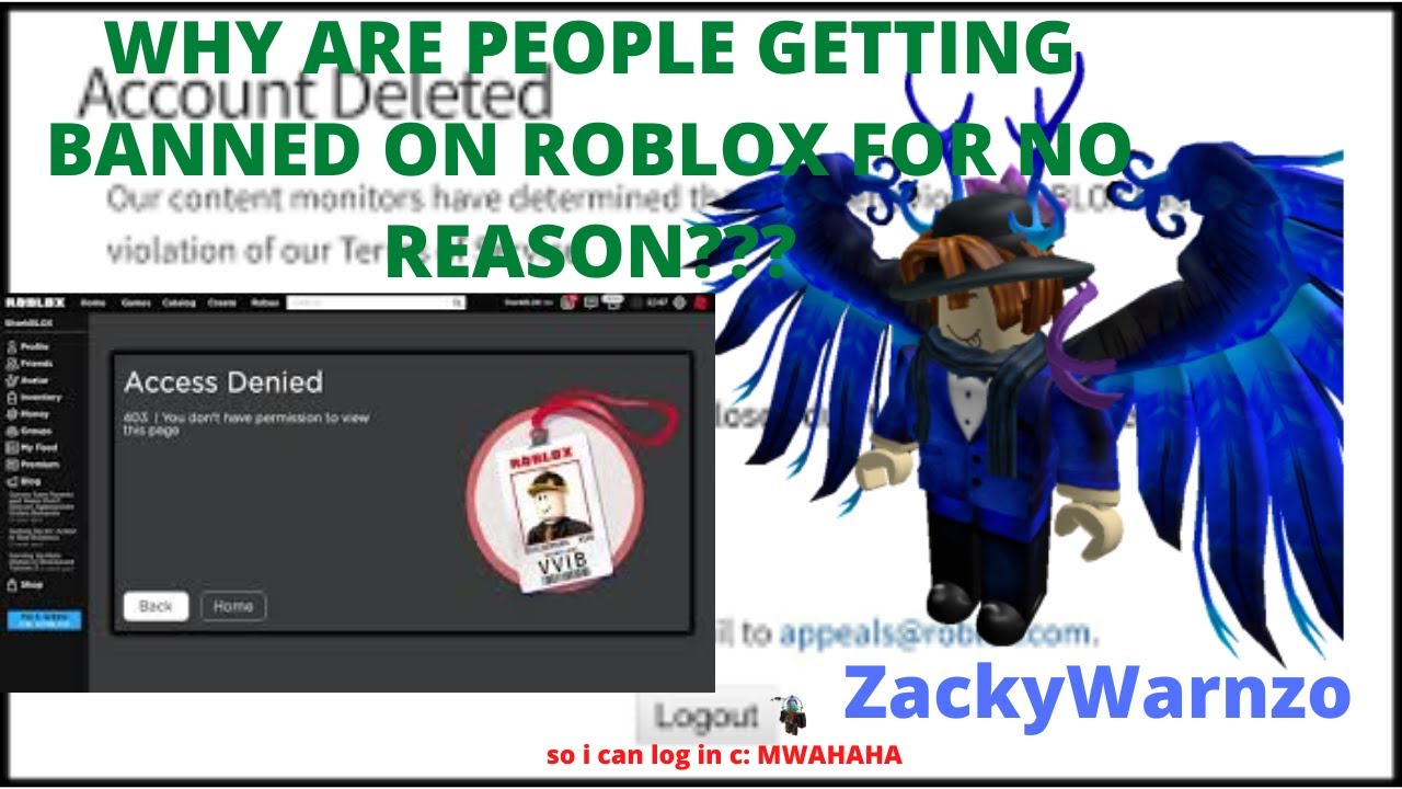 Roblox Banwave Why Are People Getting Banned For No Reason Youtube - roblox why cabbler got banned