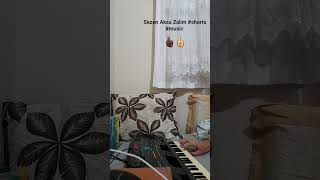 Sezen Aksu Zalim Resimi