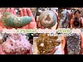 Pack crystal order with me  crystal studio vlog 015  coldbrewcrystals