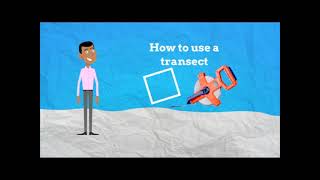 How to use a transect