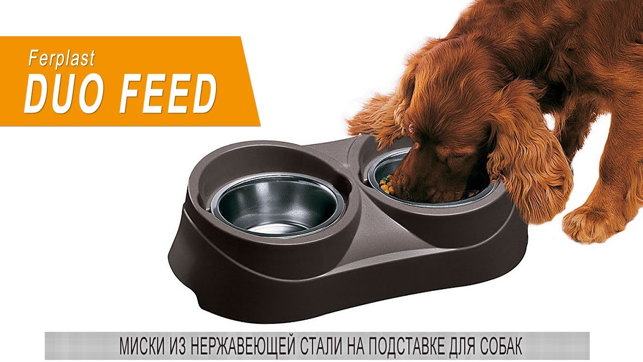 Миски из нержавеющей стали для собак Ferplast DUO FEED на подставке • Zverushka.org.ua