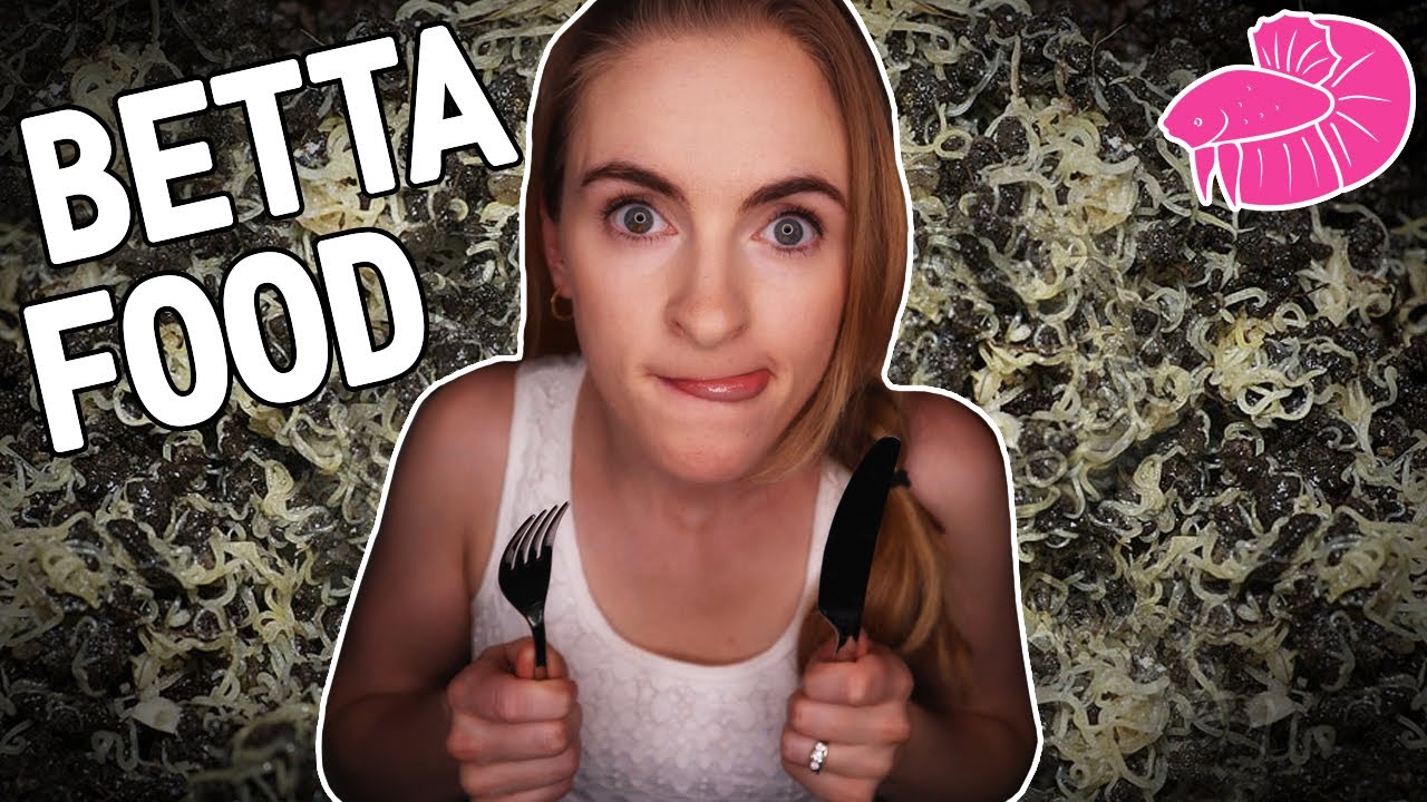 Живой корм для рыб — выращивание белых червей для моих бойцовых рыбок