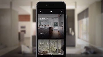 How to navigate the Savant App