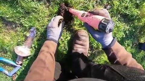 CURB STRIP CHAOS!! Episode 3. 10 coins in 10 minutes. Did I reach my goal? Count them and see.