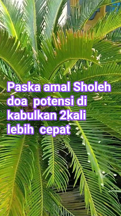 finish doing righteous deeds and pray #lecture #short lecture #uah #islamic studies #motivation