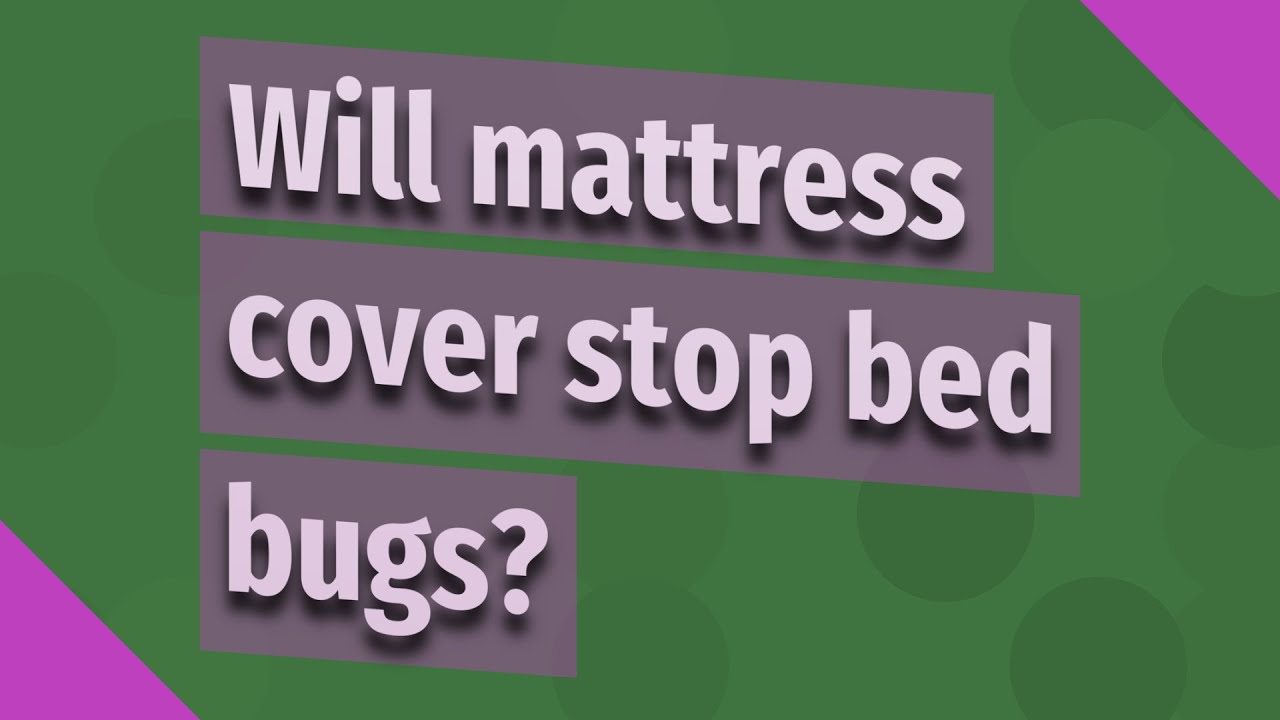 Will mattress cover stop bed bugs? YouTube