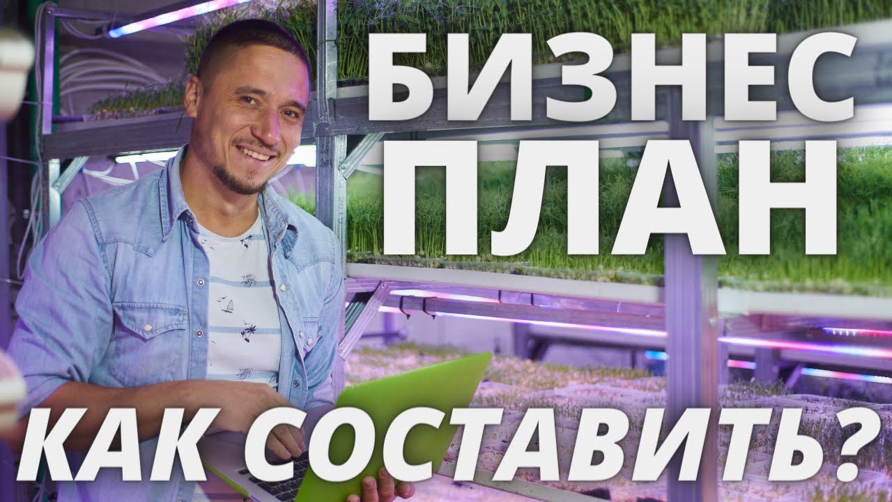Бизнес-план кошачьего кафе с расчетами