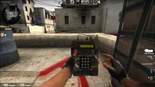 How To Teach A Monkey To Use A Gun