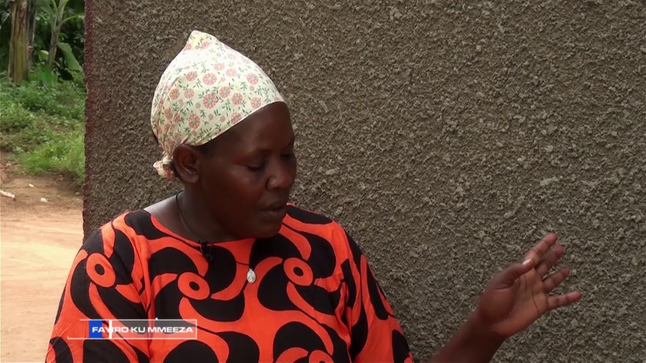 Fayiro ku Meeza: Tokomekkereza fayiro ya Wadimba eyattibwa AA