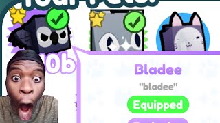 I Got This Rare Pet in Pet Simulator X...