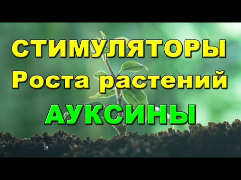 СТИМУЛЯТОРЫ РОСТА РАСТЕНИЙ АУКСИНЫ. Всегда хороший урожай!