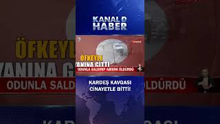 Cani Kardeş Odunla Saldırıp Abisini Öldürdü