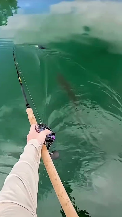 #mancing #fishing #shortvideo #fish #mancingmantap #dj #djtiktokterbaru #djoveryouxenaenaslow