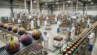 How Fig Jam Is Made: Inside a High-Tech Food Processing Factory (Full Process)