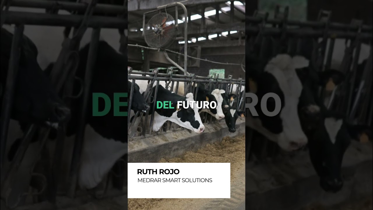 Casos de éxito de la convocatoria de ayudas del MAPA para el Sector Agroalimentario 2024