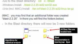 Bioinformatics 101 - Setting up BLAST