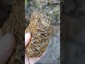 RockHounding @danieleprospector #rockhounding #rockhunting #minerals #minerali