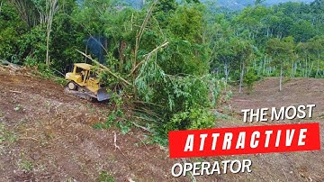incredible High Skill Plantation Construction Technology Bulldozer Pushing Clearing Trees and Bushes