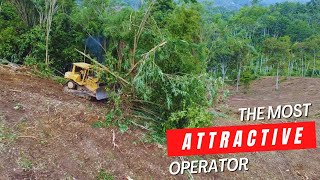 incredible High Skill Plantation Construction Technology Bulldozer Pushing Clearing Trees and Bushes by Bulldozer Mountain 8,324 views 2 weeks ago 22 minutes