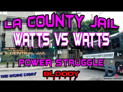 Damien Watts Rollin 60scareer Detail