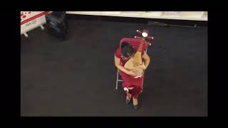 Chinese Pipa Performance during Chinese New Year