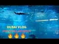 Sharks 🦈 & Fishes | Dubai Mall Aquarium | Dubai Tour Vlog | A Day In Dubai | Travel Prabhat