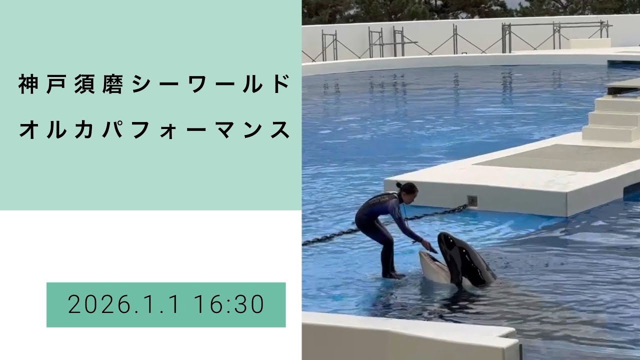 神戸須磨シーワールド　オルカパフォーマンス　2026.1.1 