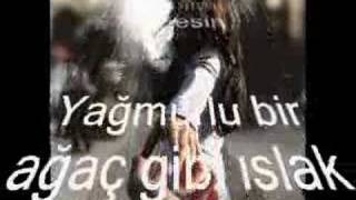 Hiç Bir Şeyimsin Resimi