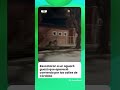 Rescataron a un aguará guazú que apareció corriendo suelto por las calles de Córdoba.