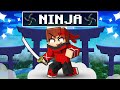 Talcado devient un ninja sur minecraft 