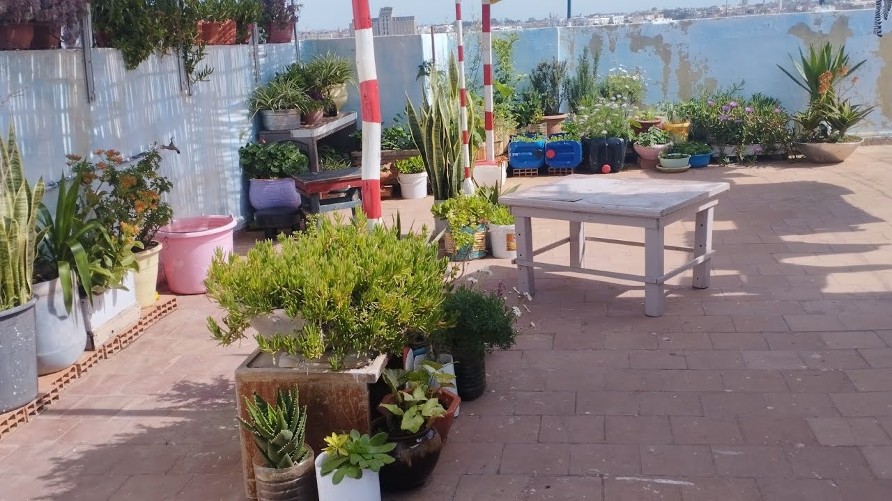 جولة ربيعية على أسطح : اكتشف تطورات حديقتي رائعة