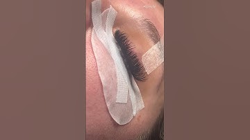 Classic to Volume Lashes | Bottom Lashes