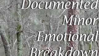 Video thumbnail of "Documented Minor Emotional Breakdown Tetralogy"