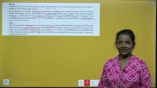 CHAPTER 13 INSIDE THE EARTH | SOCIAL SCIENCE CLASS 7