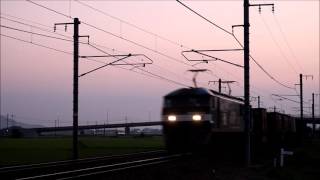 【JR Freight】 1069レ EF210-141 サービスのホイッスル一発 2016/08/13 04:58