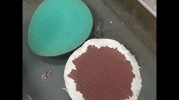 125mm Film Hook and Loop Sanding Disc Grits 60-2000 Wet/Dry Round Sandpaper abrasive disk