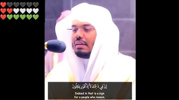 سورة النحل # ياسر الدوسري  # الاية  [ 65 _ 69 ]