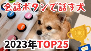 話す犬クラマ 会話ボタンベスト25 【2023年】