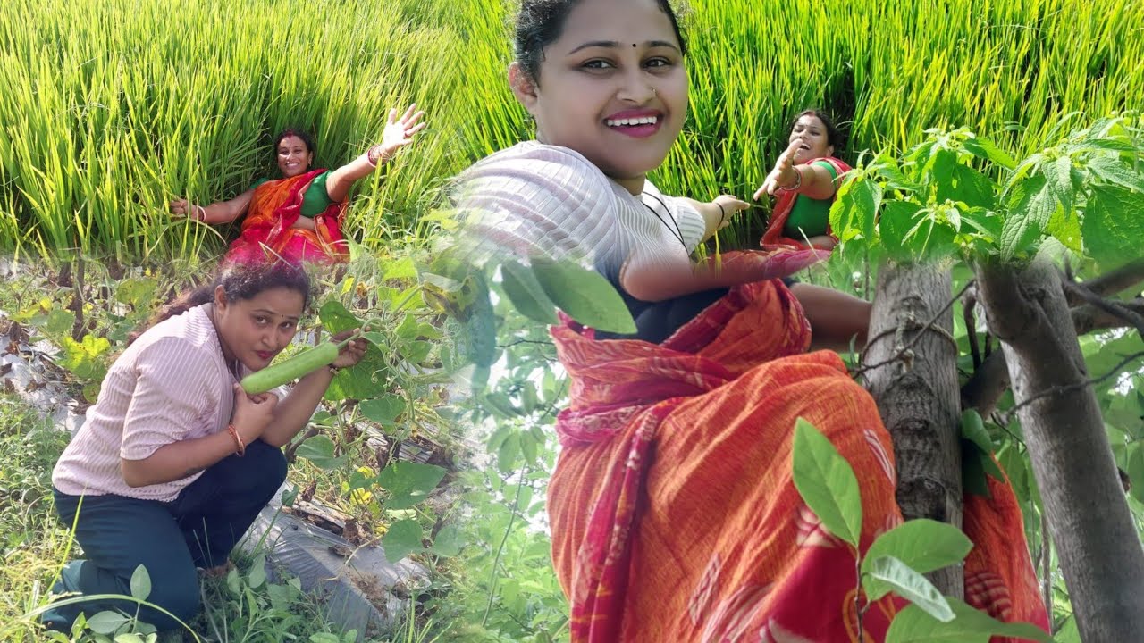 ଜମିରେ ଜାଇକୀ bhauja ku amiti kano karichi bhauja sahita je bhaujo mo ଉପୋରେ ରଗୀ ଗୋଲେ