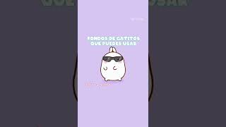 Fondo de pantalla de gatitos HD que puedes usar