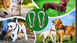 Safety hook for multipurpose
