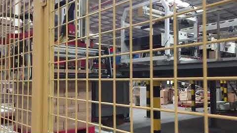 Single Column Case Palletiser