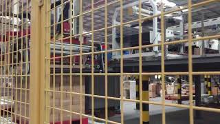 Single Column Case Palletiser
