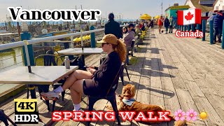 Richmond Vancouver Spring Walking Tour 🌸Steveston Fisherman’s Wharf/Cherry Blossoms/BC Canada🇨🇦[4K] 