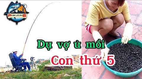 Câu lục l Quấn ổ thính trắm đen mùa đông phủi 2.