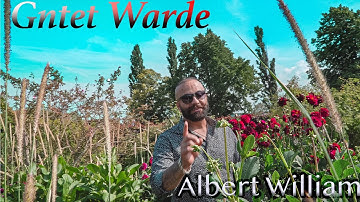 Albert William - Ganta D Warde  #assyrian