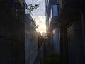 夏木立..人生で一番幸せな日:林部智史//#shorts #short #ショート