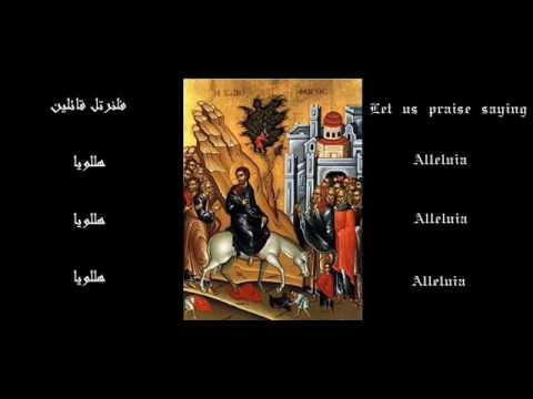 coptic orthodox palm sunday hymn evlogiminos