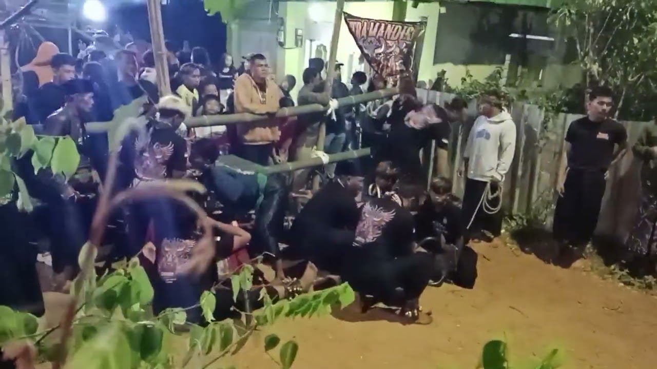 Bantengan PUTRA MANDIRI BRANJANG KAWAT dusun sabrang bendo,,seru pwoll#bantengan#bantengberot#fyp  